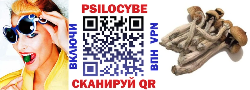 Галлюциногенные грибы прущие грибы  Морозовск 